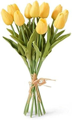 Tulip Stem | Yellow