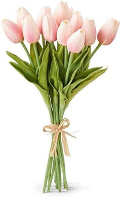 Tulip Stem | Pink