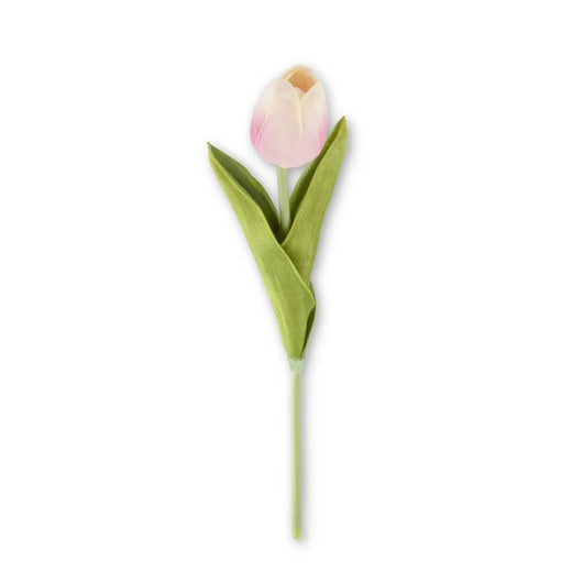 Tulip Stem | Pink