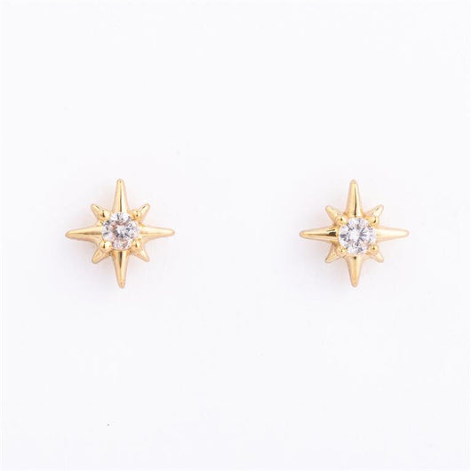 Banner Earrings