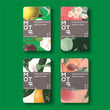 Portofino Motif Mints | Green