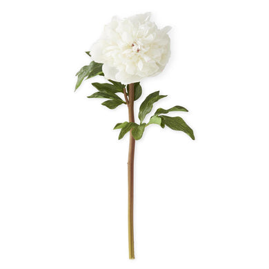 Peony Stem