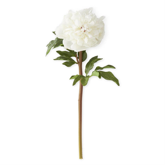 Peony Stem