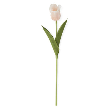 Parrot Tulip Stem | Peach