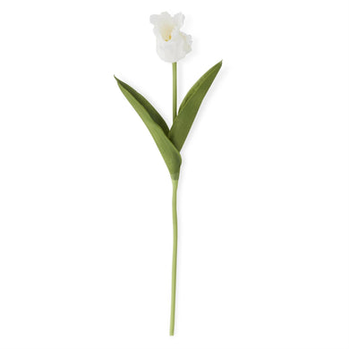 Parrot Tulip Stem | White