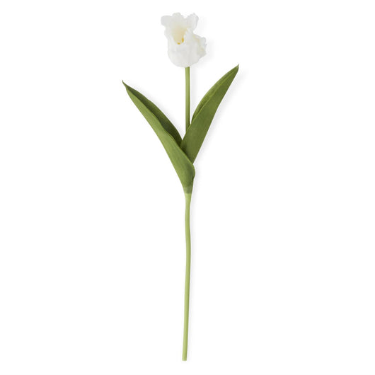 Parrot Tulip Stem | White