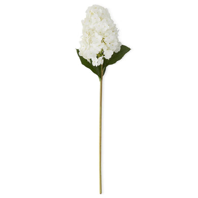 Cone Hydrangea Stem
