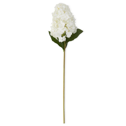 Cone Hydrangea Stem