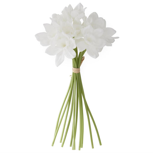 Daffodil Bundle | White