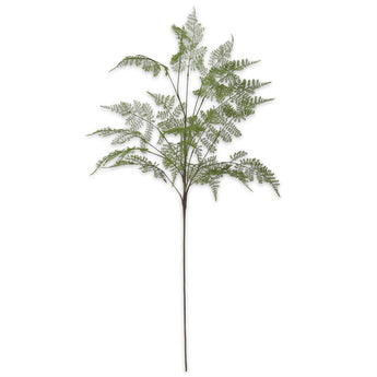 Lace Fern Stem