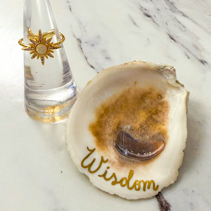 Oyster & Ring Set | North Star