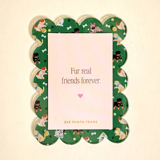 Mini Acrylic Picture Frame Magnet • Dog Days