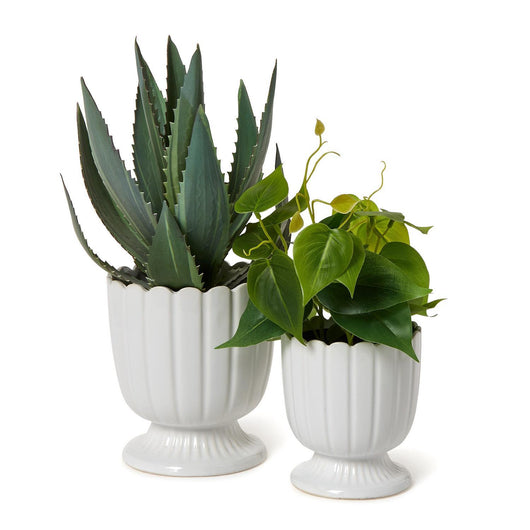 Garden Party Planter | Small