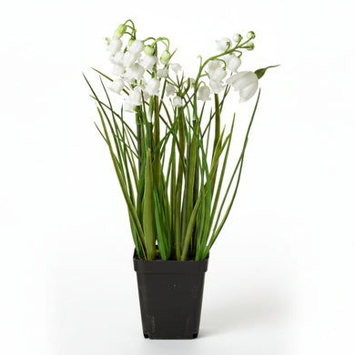 Potted Flower | Lily of the Valley