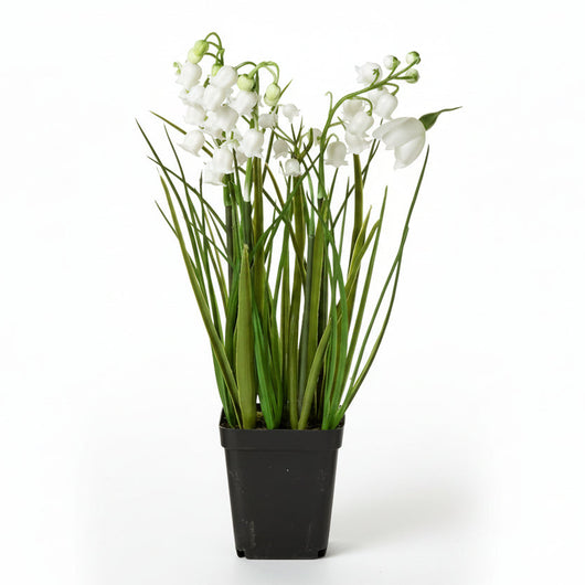 Potted Flower | Lily of the Valley