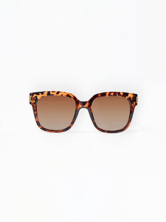 Krista Sunglasses | Tortoise