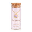 February Birthstone Necklace | Amethyst