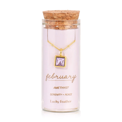 February Birthstone Necklace | Amethyst