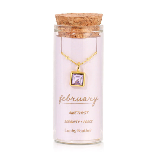 February Birthstone Necklace | Amethyst