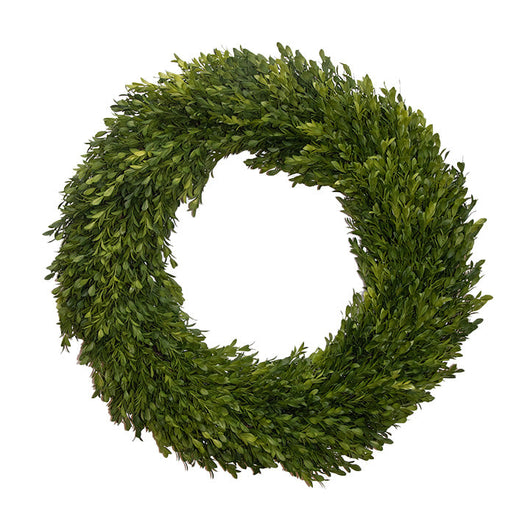 Boxwood Wreath • 24