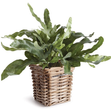 Sadie Planter