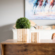 Brooklyn Bamboo 4" Planter | Gold