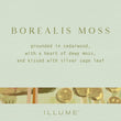 Borealis Moss | Vanity Tin