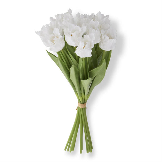 Parrot Tulip Bundle