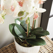 Orchid Drop-in | 23"