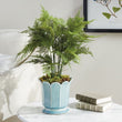 Maline Footed Pot | Large