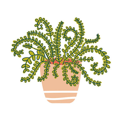 Mini Attachment | Happy House Plant