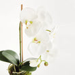 Orchid Drop-in | 21"