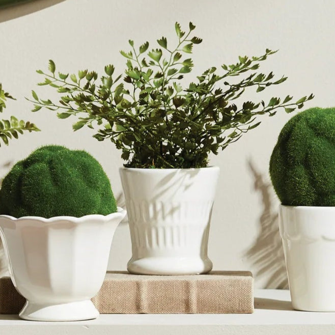 Mirabelle Mini Cachepot | Fern