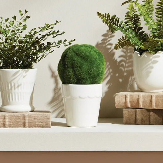 Mirabelle Mini Cachepot | Lily