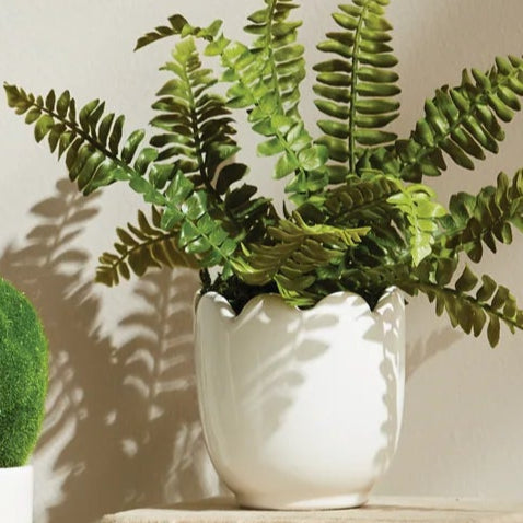 Mirabelle Mini Cachepot | Orchid