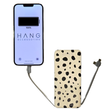 Charging Bank | Cheetah Spot