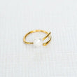 Oyster & Ring Set | Pearl