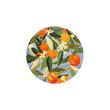 Seedling Coaster | Sunny Oranges
