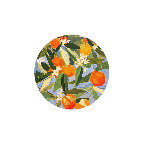 Seedling Coasters • Sunny Oranges