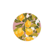 Seedling Coaster | Lemons