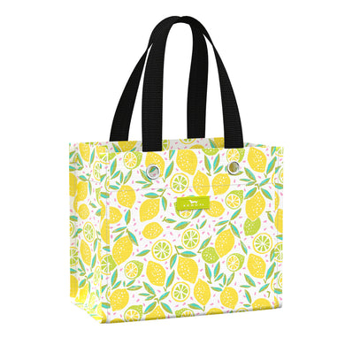Six Packer | Lemoncello