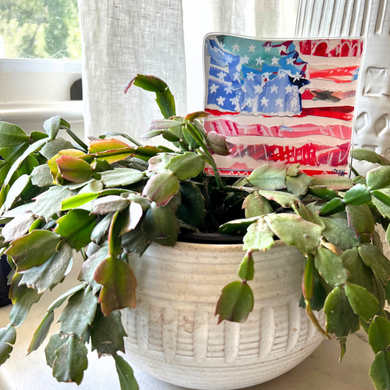 Plant Stick | USA Flag