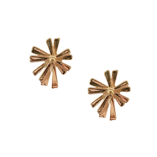 The Nicole Studs