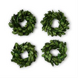 Boxwood Napkin Rings | Set of 4
