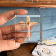 Lucite Cross