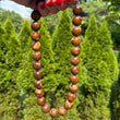 Mini Molly Bubble Necklace • Chocolate Brown