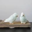 Parakeet Decor