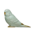 Parakeet Decor