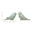 Parakeet Decor