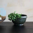 The Grove Serving Bowl